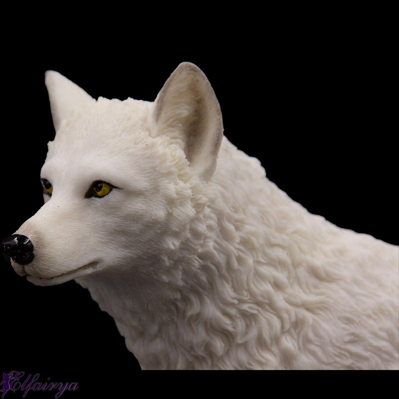 Polarwolf steht im Schnee